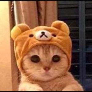 Meet your Posher, Sierra